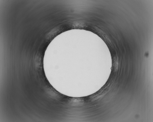 X0000116630619201001081254