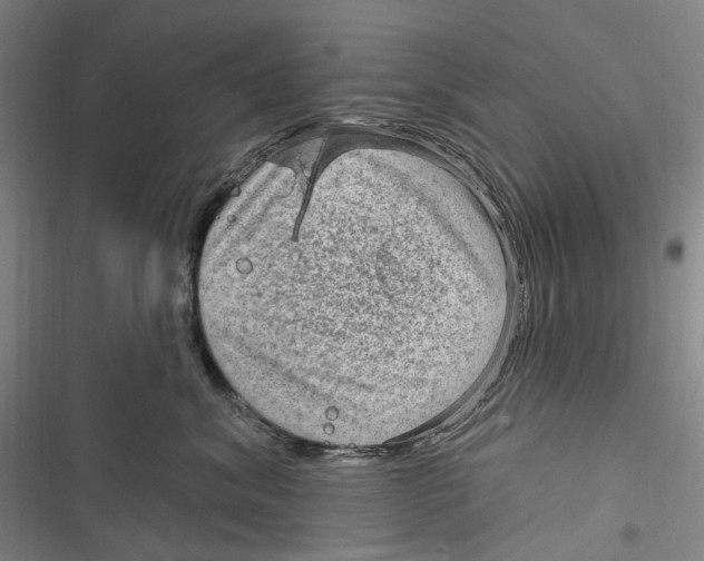 X0000116630620201001081254