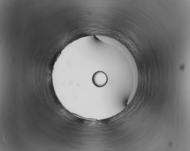 X0000116630621201001081254