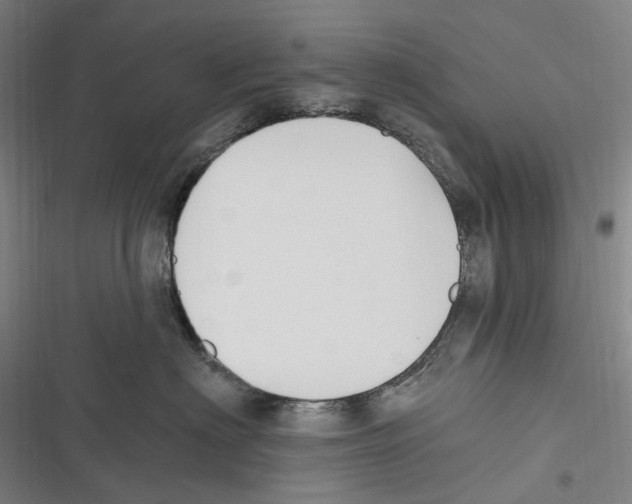 X0000116630622201001081254
