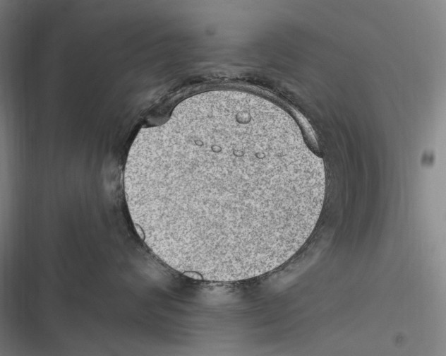 X0000116630624201001081254