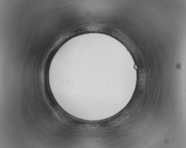X0000116630626201001081253