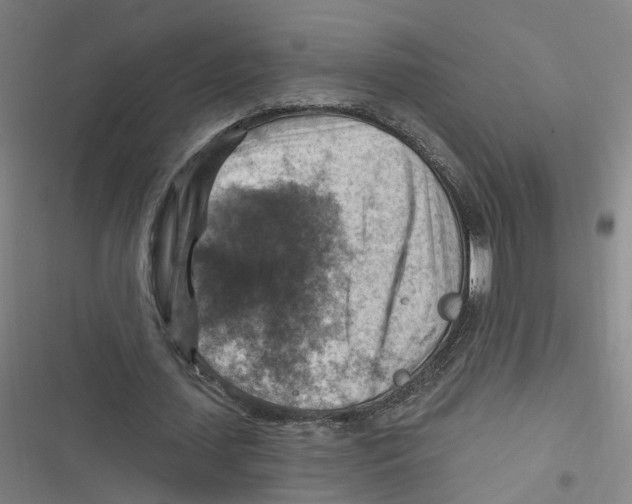 X0000116630627201001081253