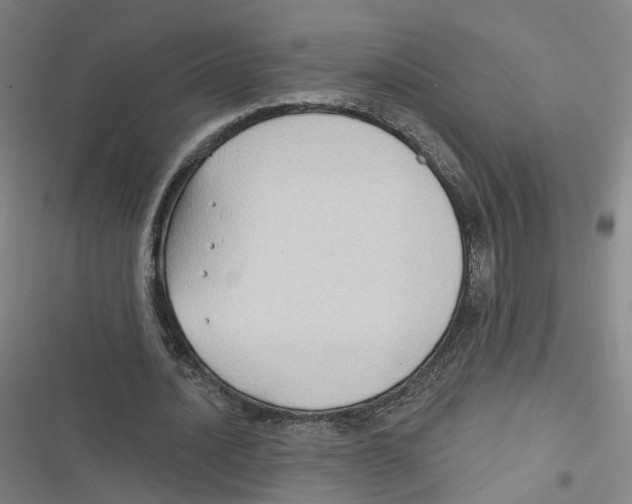 X0000116630628201001081253