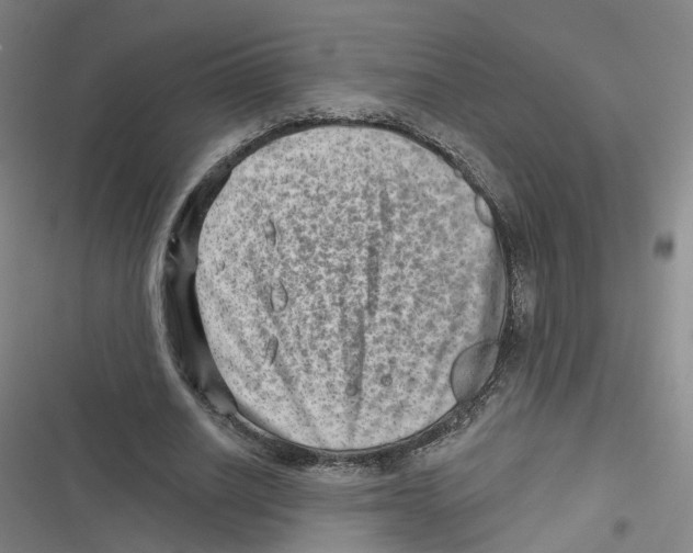 X0000116630630201001081253