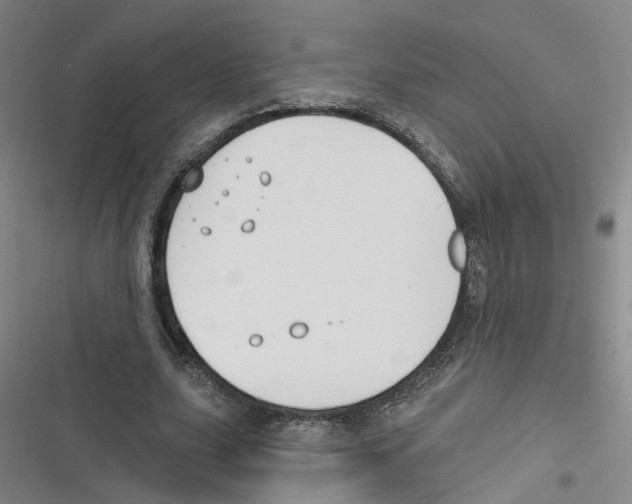 X0000116630631201001081253