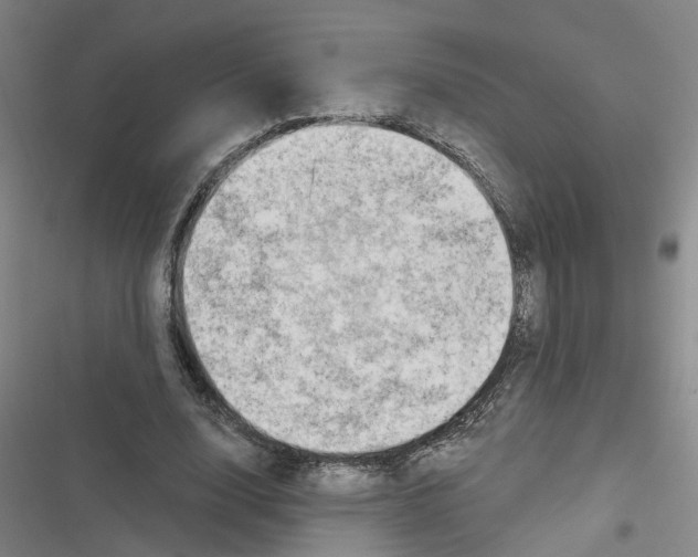 X0000116630632201001081253