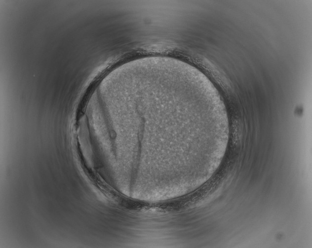 X0000116630634201001081253