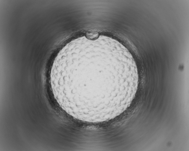 X0000116630635201001081253