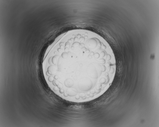 X0000116630639201001081253