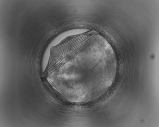 X0000116630641201001081253