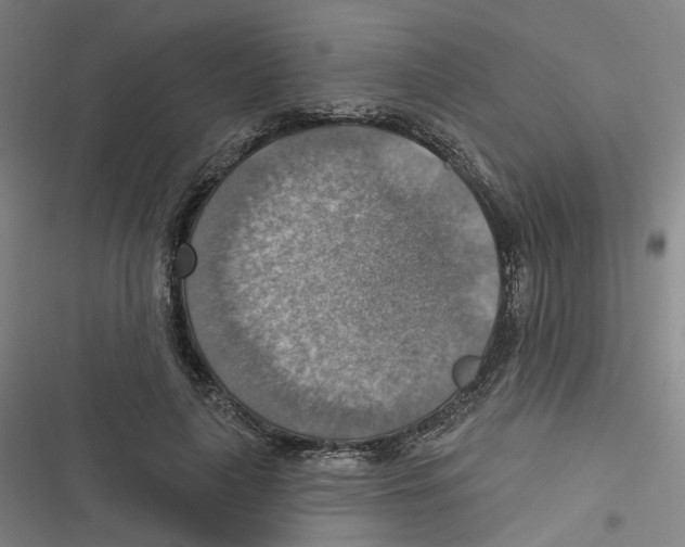 X0000116630643201001081253