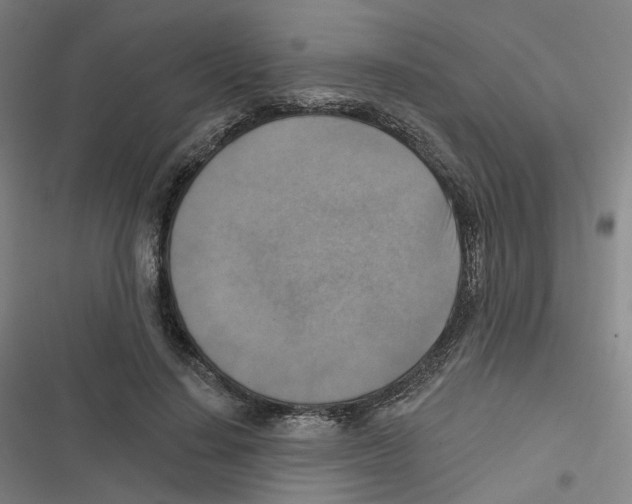 X0000116630644201001081253