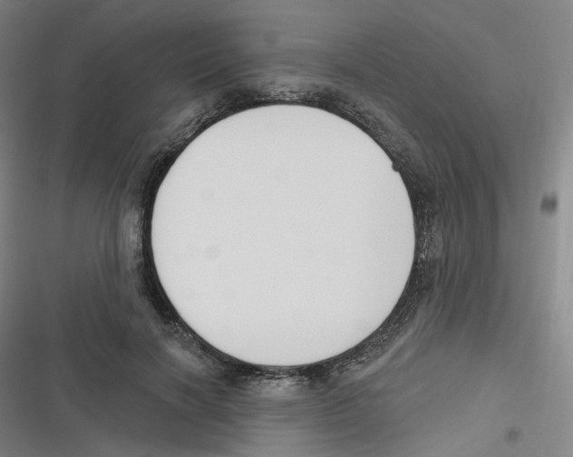 X0000116630646201001081253