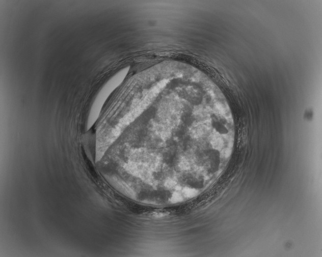 X0000116630647201001081253