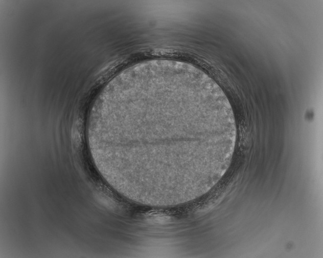 X0000116630648201001081253