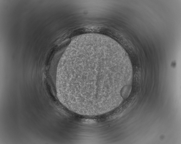 X0000116630649201001081253