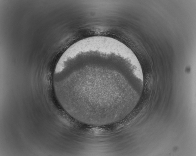 X0000116630650201001081253