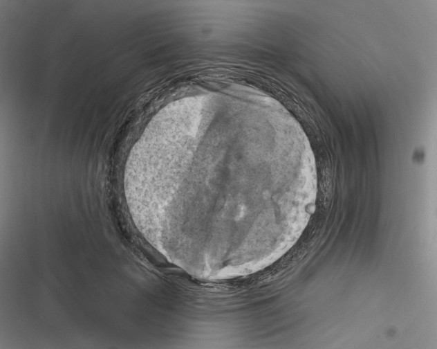 X0000116630653201001081253
