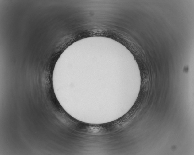 X0000116630654201001081253