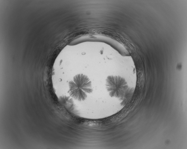 X0000116630655201001081253