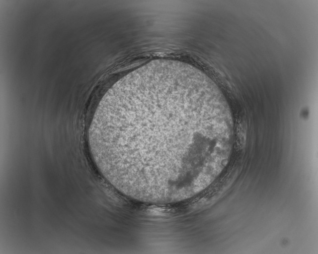 X0000116630657201001081253
