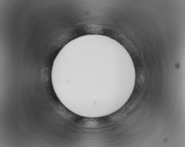 X0000116630658201001081253