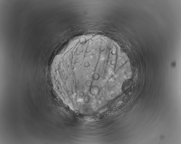 X0000116630659201001081253