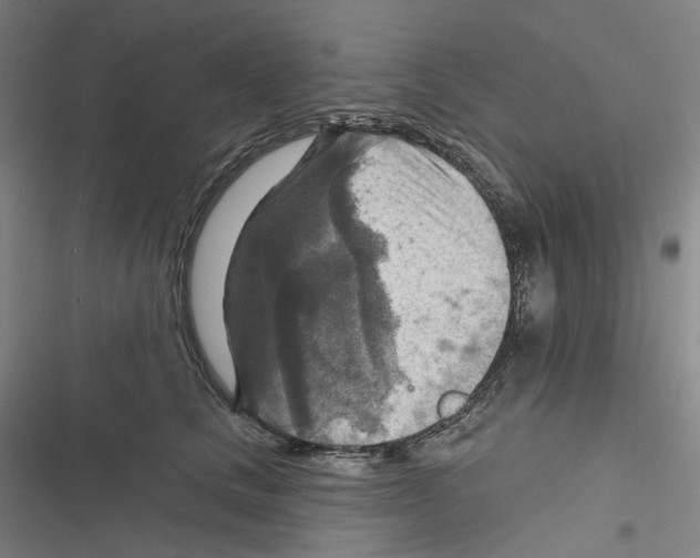 X0000116630661201001081254