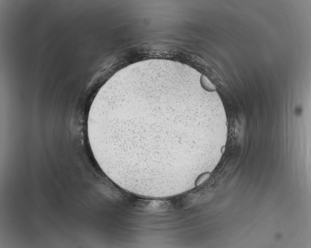 X0000116630663201001081254