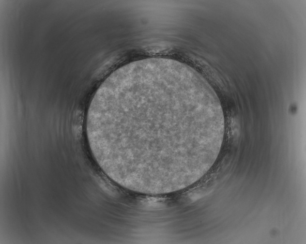 X0000116630664201001081254