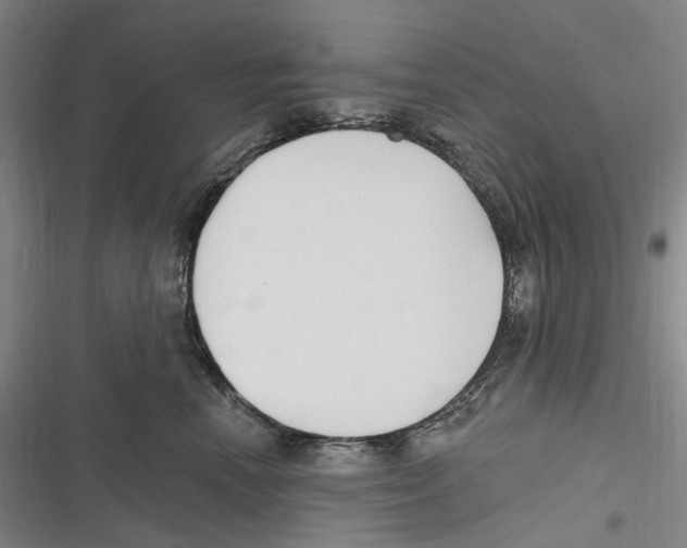 X0000116630666201001081254