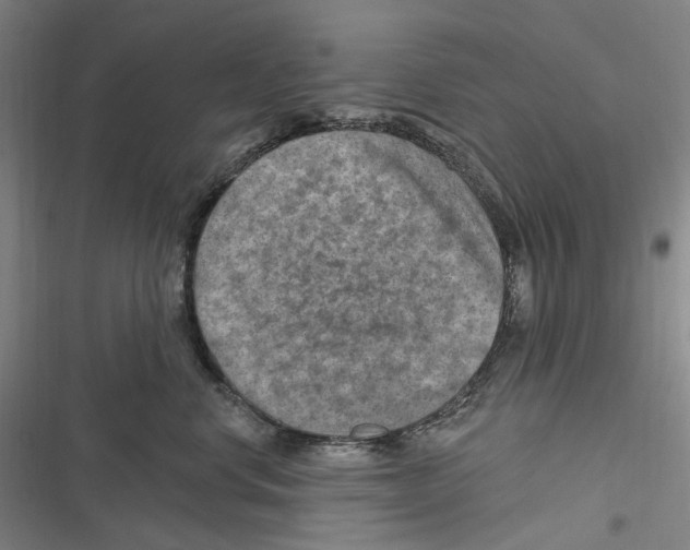 X0000116630668201001081254