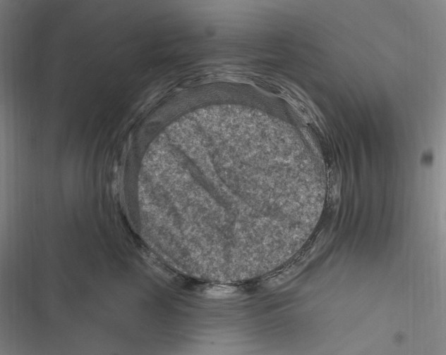 X0000116630669201001081254
