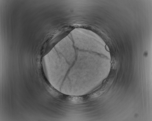 X0000116630670201001081254