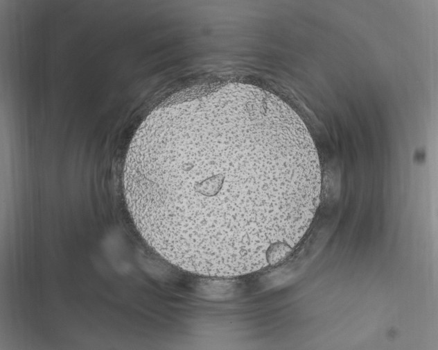 X0000116630671201001081254