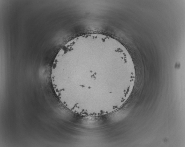 X0000116630672201001081254