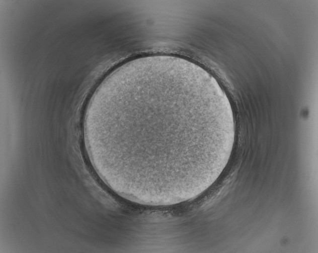 X0000116630673201001081253