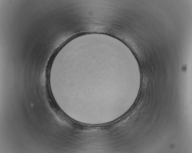 X0000116630674201001081253