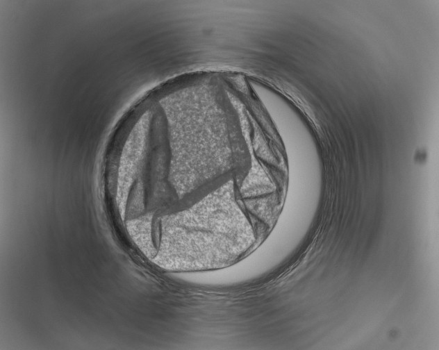 X0000116630676201001081253