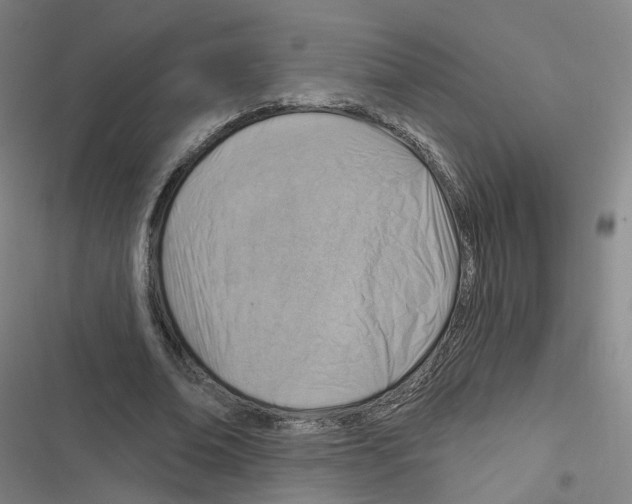 X0000116630678201001081253