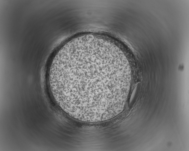X0000116630679201001081253