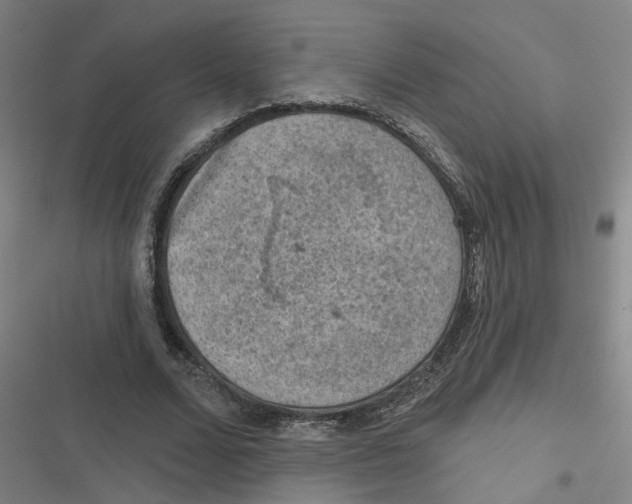 X0000116630680201001081253