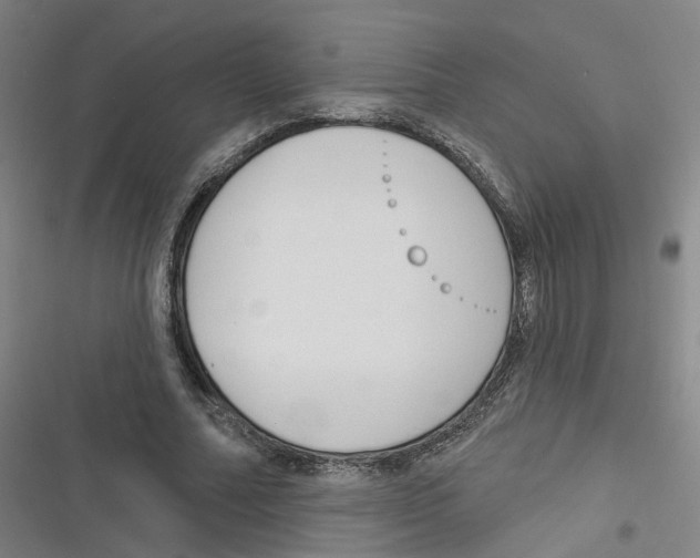 X0000116630682201001081253