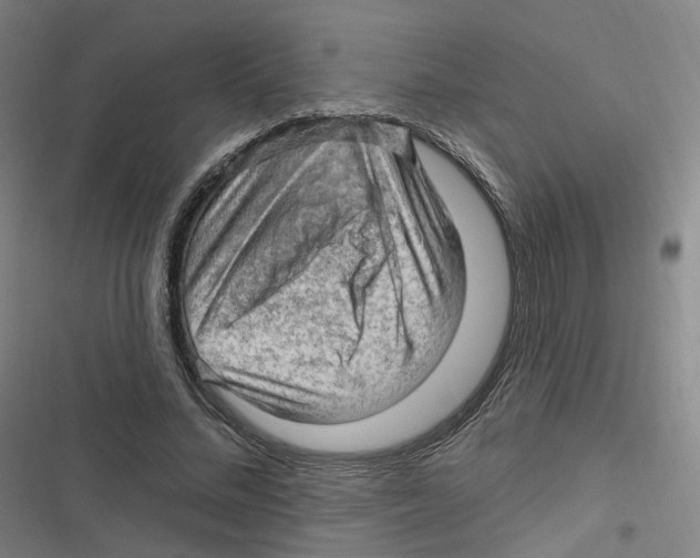 X0000116630684201001081253