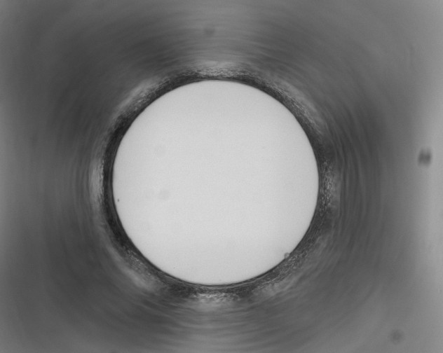 X0000116630686201001081253