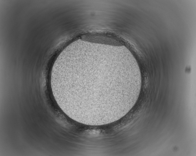 X0000116630687201001081253