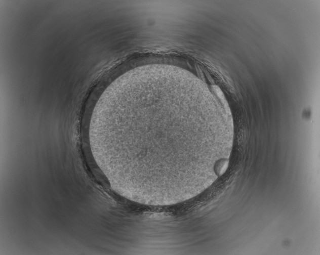 X0000116630689201001081253