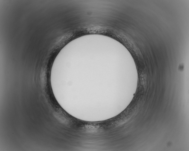 X0000116630690201001081253