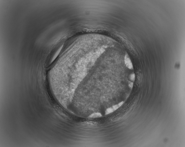 X0000116630691201001081253